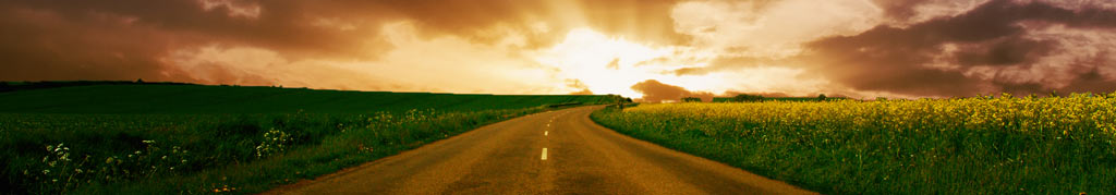 A photo of a road leading to new horizons