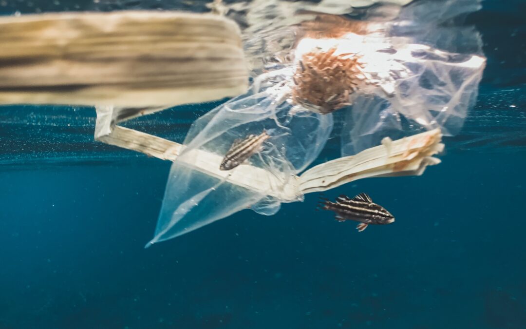 Ocean plastic to triple by 2040